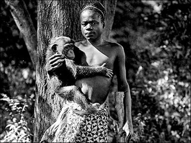 Kongo'lu Ota Benga 1906 yılında Bronx hayvanat bahçesindeydi.  Kucağında maymunlarla dolaşmaya zorlanıyordu.