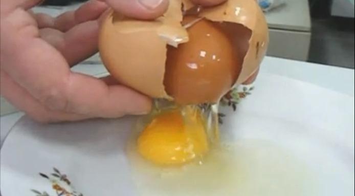 l_1838_egg-inside-an-egg