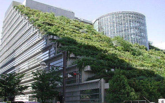 Green_Roof-640x400