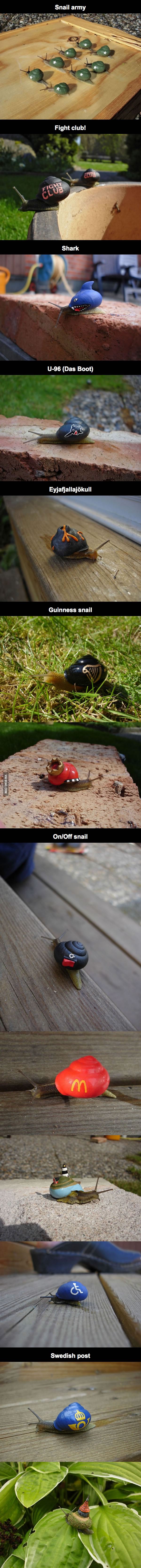 A-Swedish-Guy-Lost-His-Job-Then-He-Took-Up-Snail-Painting-As-A-Hobby